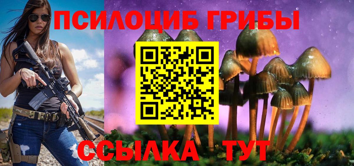 Псилоцибиновые грибы GOLDEN TEACHER Кудрово