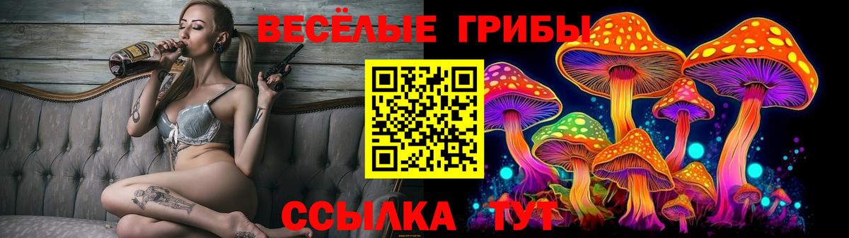 Кудрово  Галлюциногенные грибы мухоморы  Вход с VPN  Псилоцибиновые грибы ЛСД 